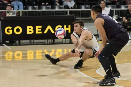 TJ DeFalco