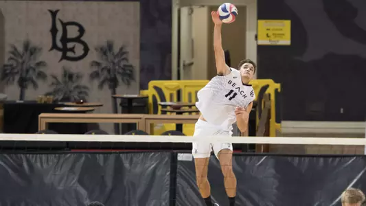 TJ DeFalco