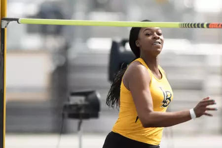 Diana Acholonu