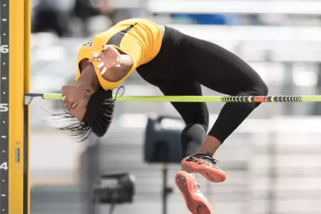 Diana Acholonu