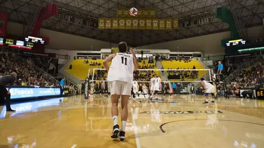 TJ DeFalco