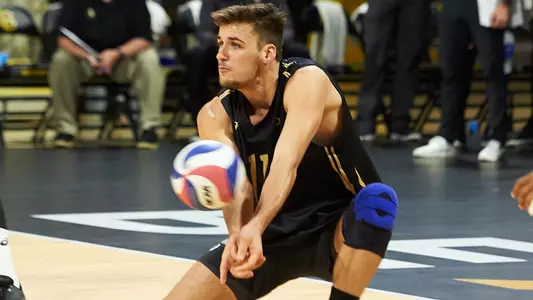 TJ DeFalco