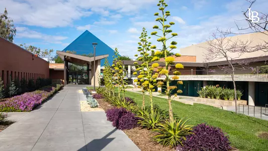 December 18, 2019 Exterior of Library Mandatory Credit: Tatiana Mata / Student Assistant PhotographerStrategic CommunicationsCalifornia State University, Long Beach