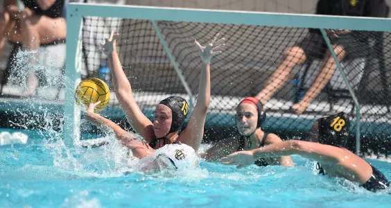Women's Water Polo