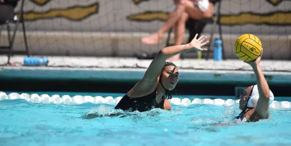 Camille Gallardo Russell