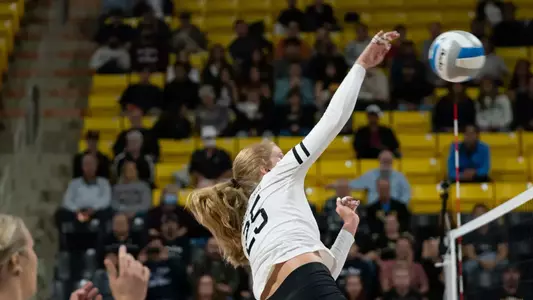 Callie Schwarzenbach