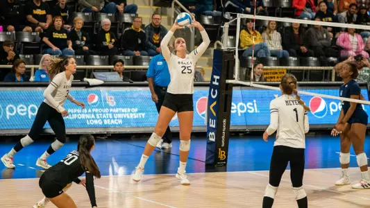 Callie Schwarzenbach