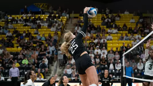 Callie Schwarzenbach