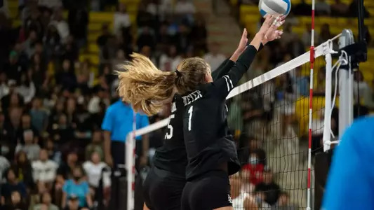 Callie Schwarzenbach, Zayna Meyer