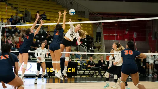 Callie Schwarzenbach