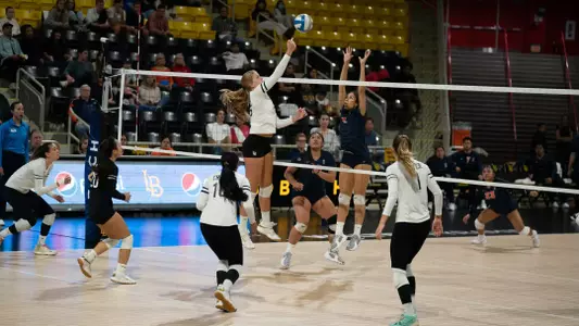 Callie Schwarzenbach