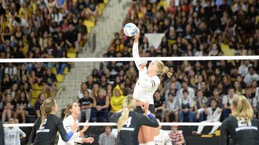 Callie Schwarzenbach