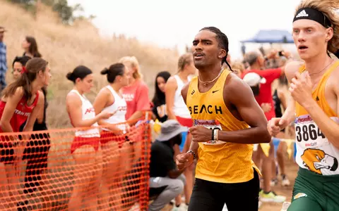 2023_09_16_Brown_Jay_at_UCR_DD_03