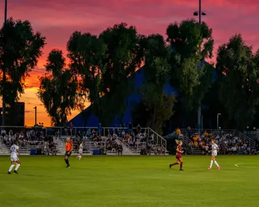 Sunset George Allen Field