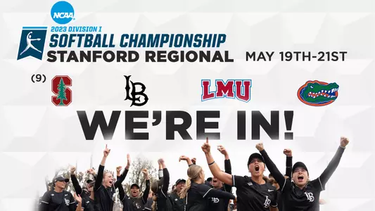 Softball We're In Graphic