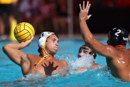 Bruno Chiappini