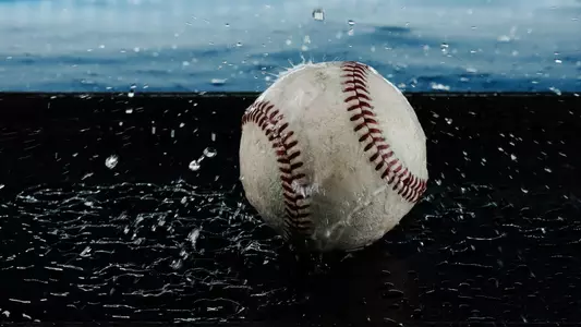 Adobe Stock Photo Baseball