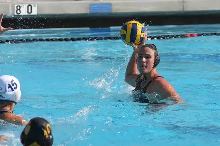 Anne de Kleer WWP 2/3