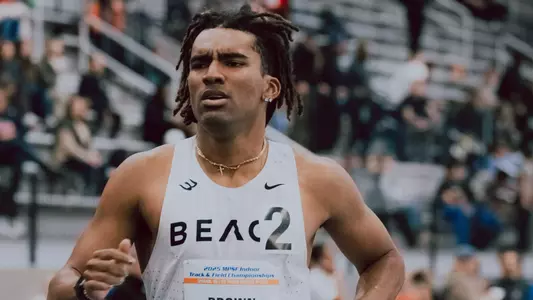 2025_02_22_Brown_Jay_HE_01