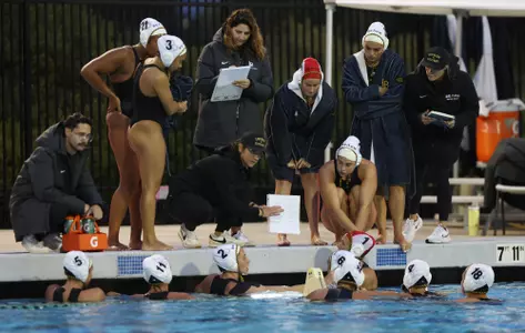 WWP Team