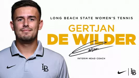 Gertjan De Wilder Interim Graphic