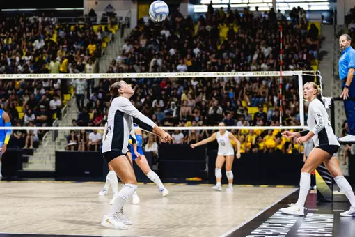 Izzy Mahaffey Dig
