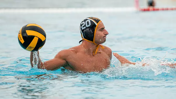 Federico Gulisano