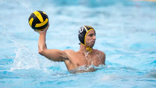 Federico Gulisano
