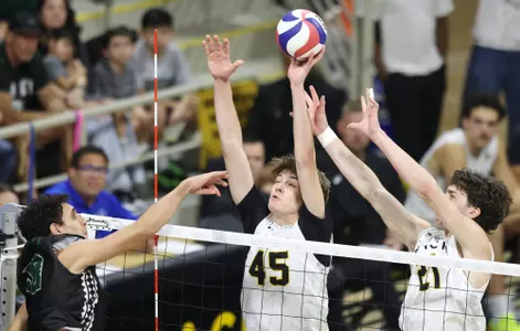 Wojciech Gajek Braedon Marquardt