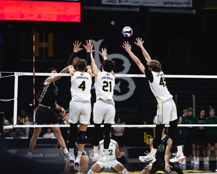 Varga, Marquardt, Gajek