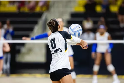 Anna Jelinek
