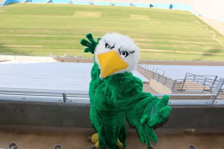 Scrappy returns to the Cotton Bowl.