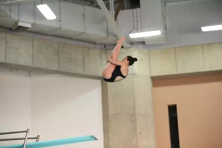 Averie Rui