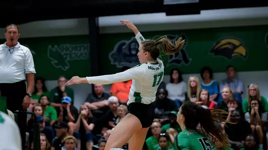 Mean Green vs. Northeastern