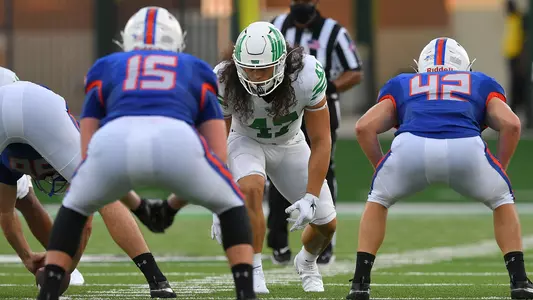 Silakivai Carmichael