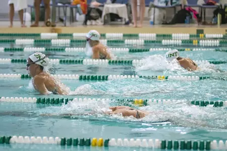GreenWhiteBreaststroke