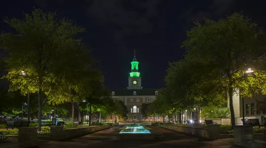 UNT's McConnell Tower lights up green after a women's basketball game win. Photographed on Nov. 22, 2016. (Ahna Hubnik / UNT)