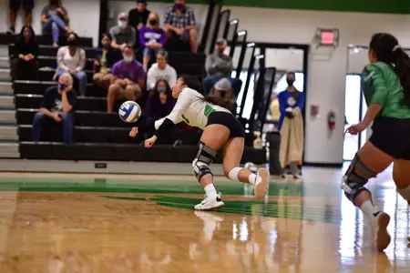 Henrianna Ibarra vs. SFA