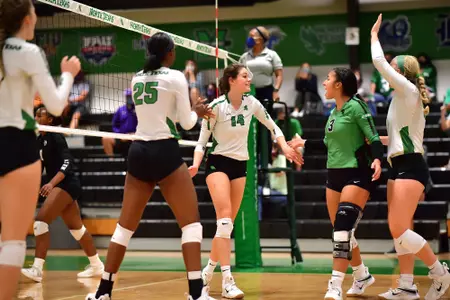 SFA at UNT VB, exh.