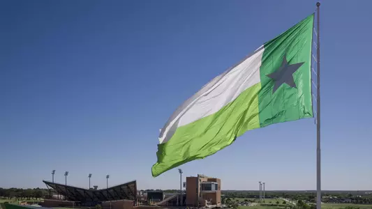 Battle Flag