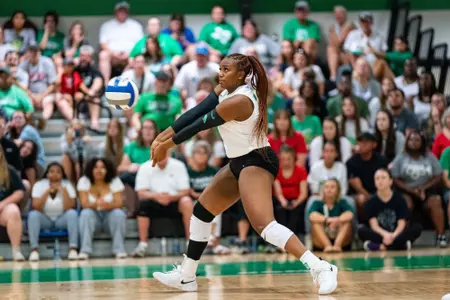 Kamryn Scroggins