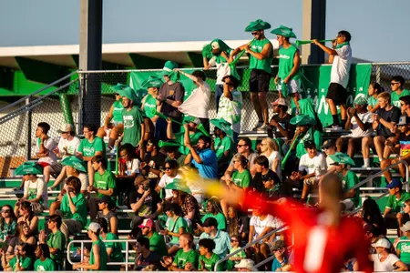 Soccer Crowd