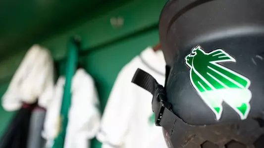 Softball Generic 2025