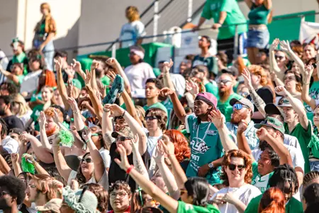 Football Generic Crowd