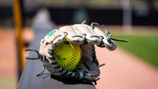 Softball Glove
