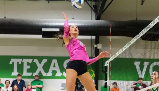 Addison Achilles USF Pink