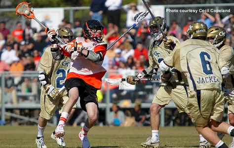 Bears Impressive in First-Ever Exhibition Showing Image