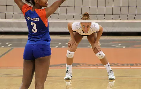 Volleyball Sweeps Savannah State Image