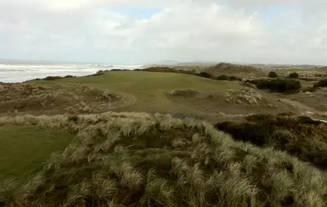 Men's Golf 11th After Two Rounds of the Bandon Dunes Championship Image
