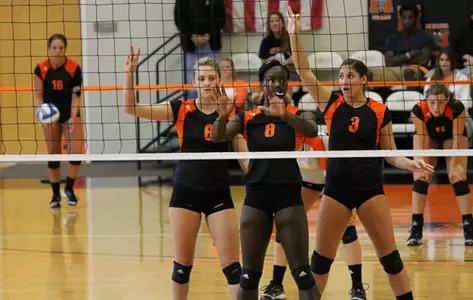 Volleyball Defeated by North Florida Image